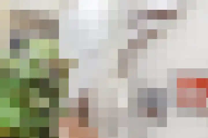 Hart Nibbrigkade 96 Den Haag thumbnail 25