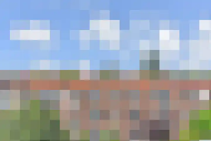Hart Nibbrigkade 96 Den Haag thumbnail 28