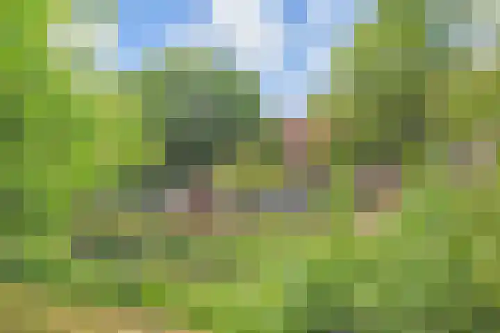 Hart Nibbrigkade 96 Den Haag thumbnail 31