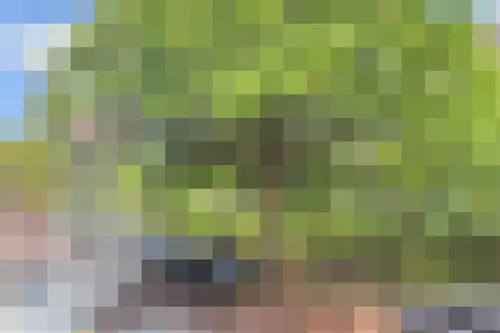 Hart Nibbrigkade 96 Den Haag thumbnail 32