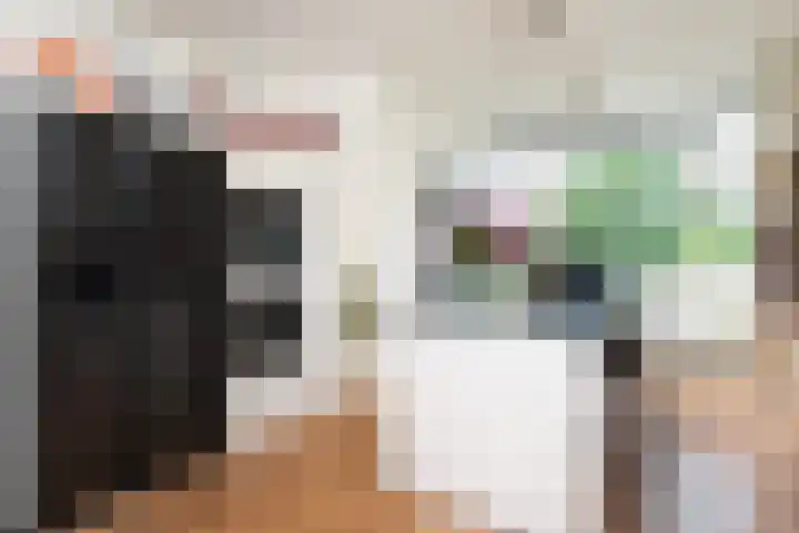 Hart Nibbrigkade 96 Den Haag thumbnail 4