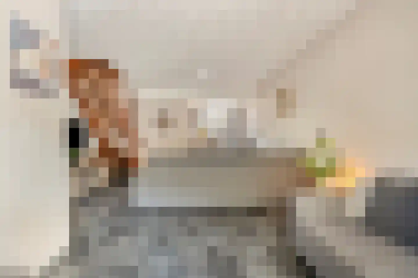 Hart van Brabantlaan 117 Tilburg thumbnail 10