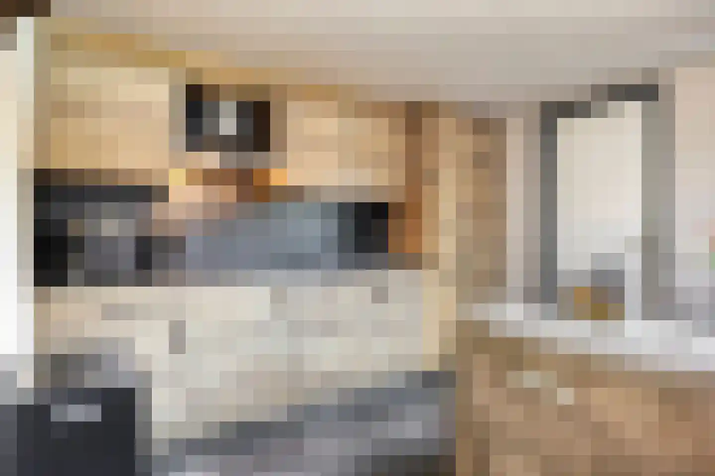 Hart van Brabantlaan 117 Tilburg thumbnail 13
