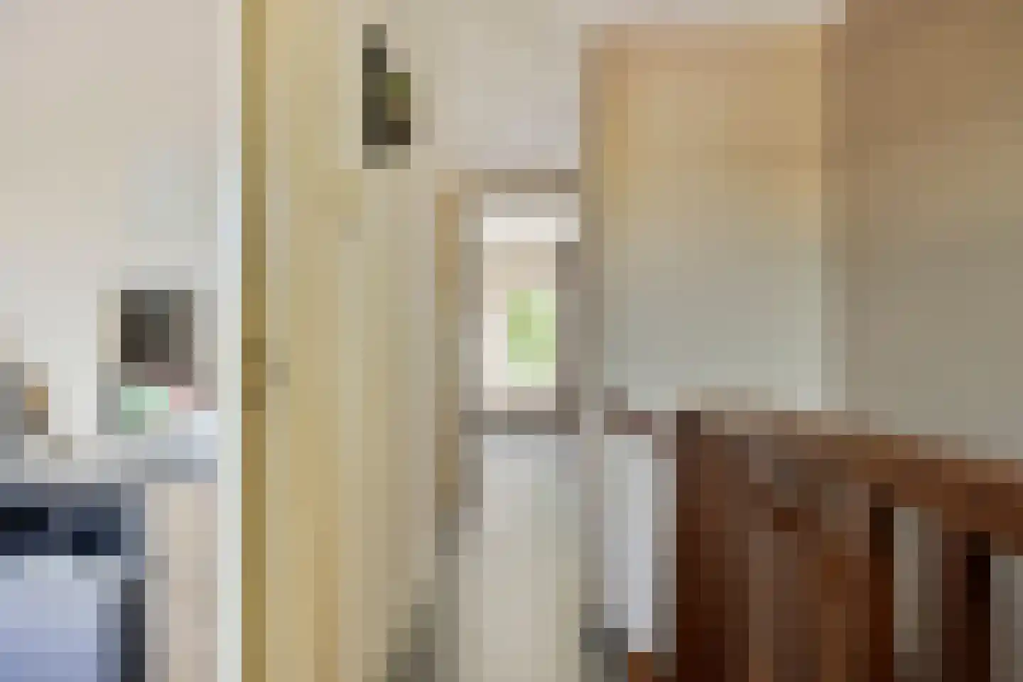 Hart van Brabantlaan 117 Tilburg thumbnail 17