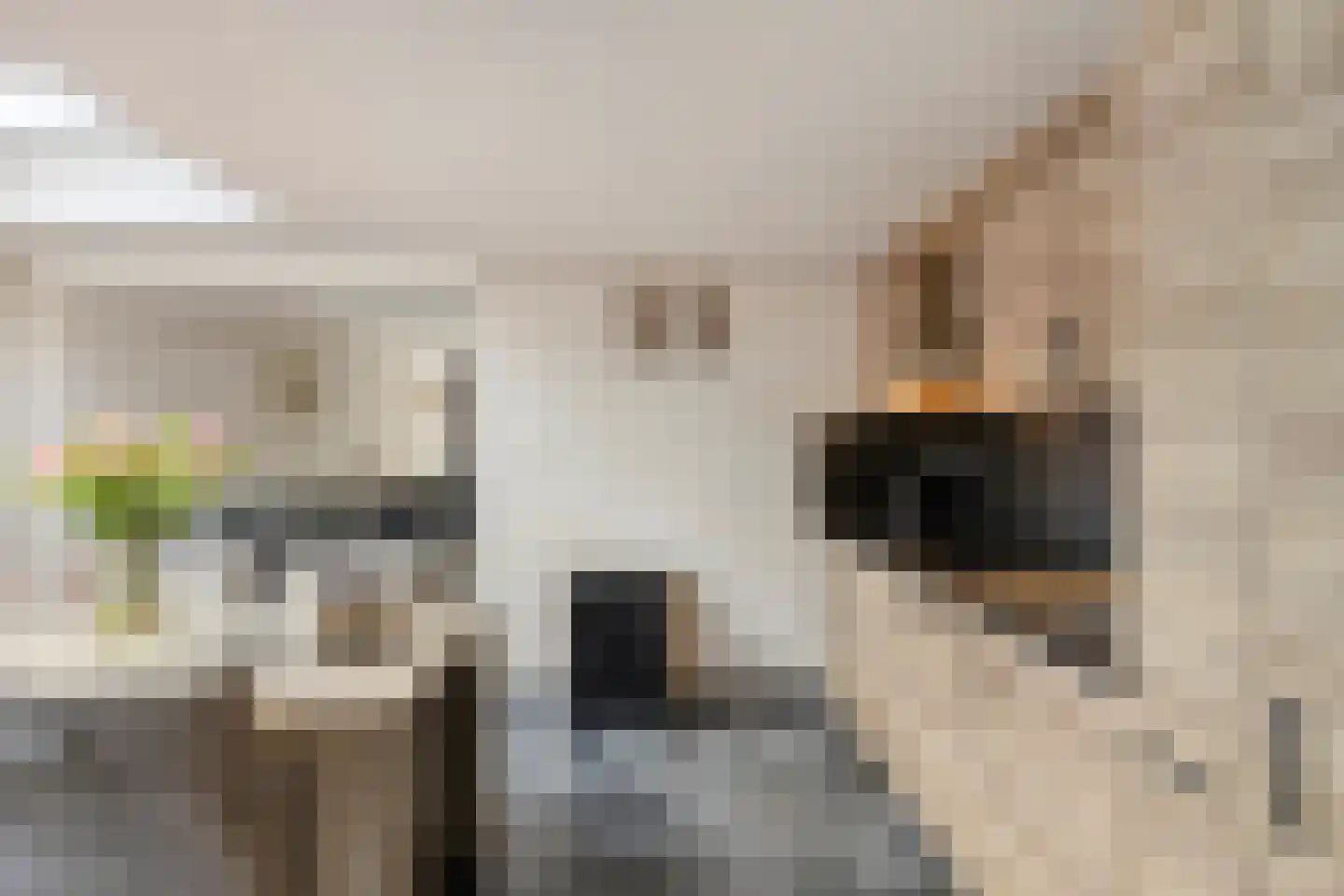 Hart van Brabantlaan 117 Tilburg thumbnail 17