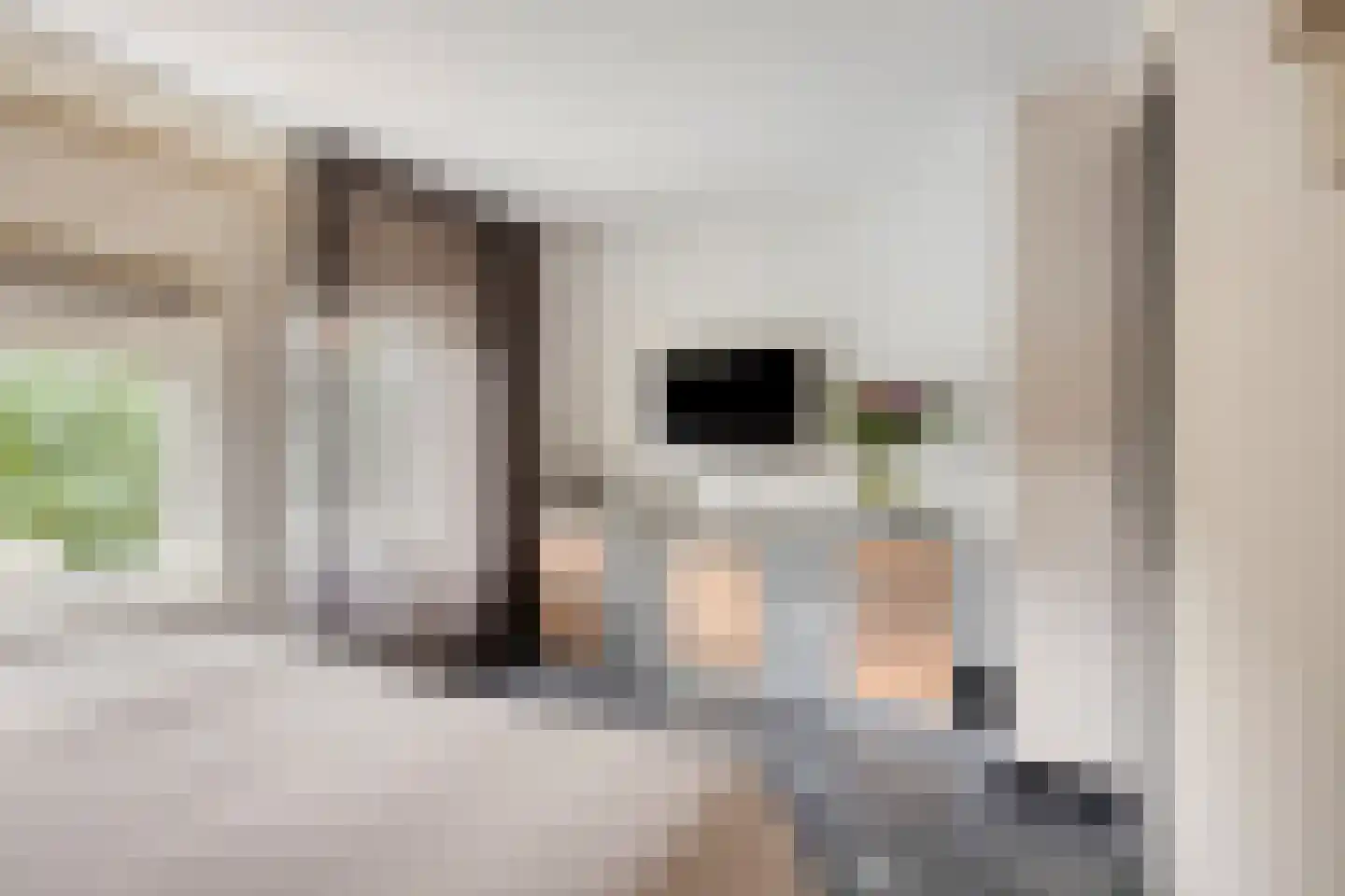 Hart van Brabantlaan 117 Tilburg thumbnail 26