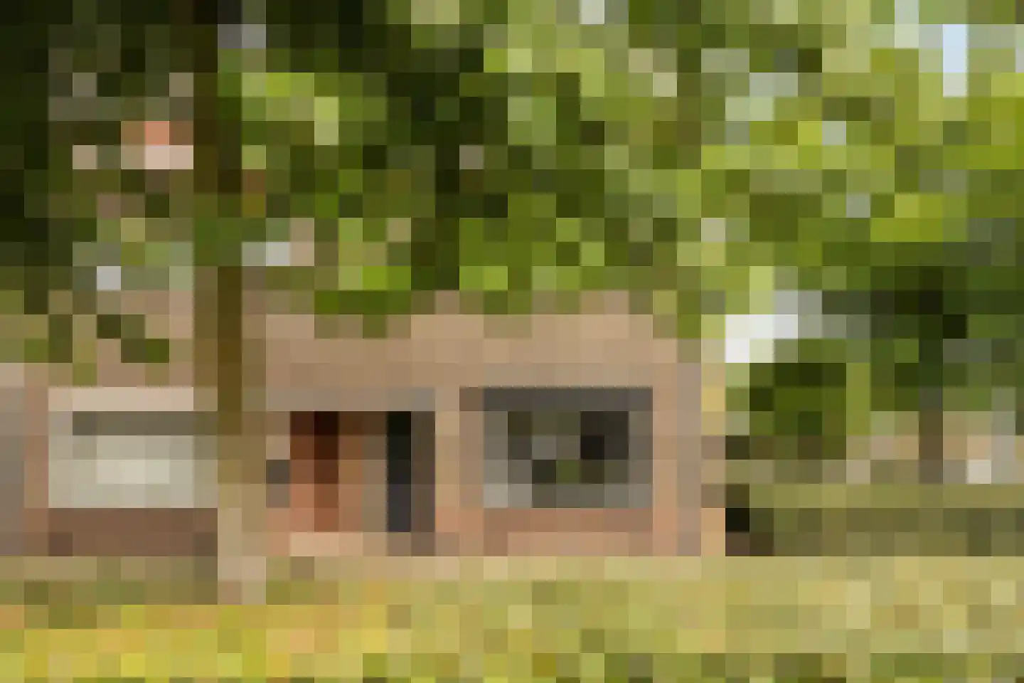 Hart van Brabantlaan 117 Tilburg thumbnail 6