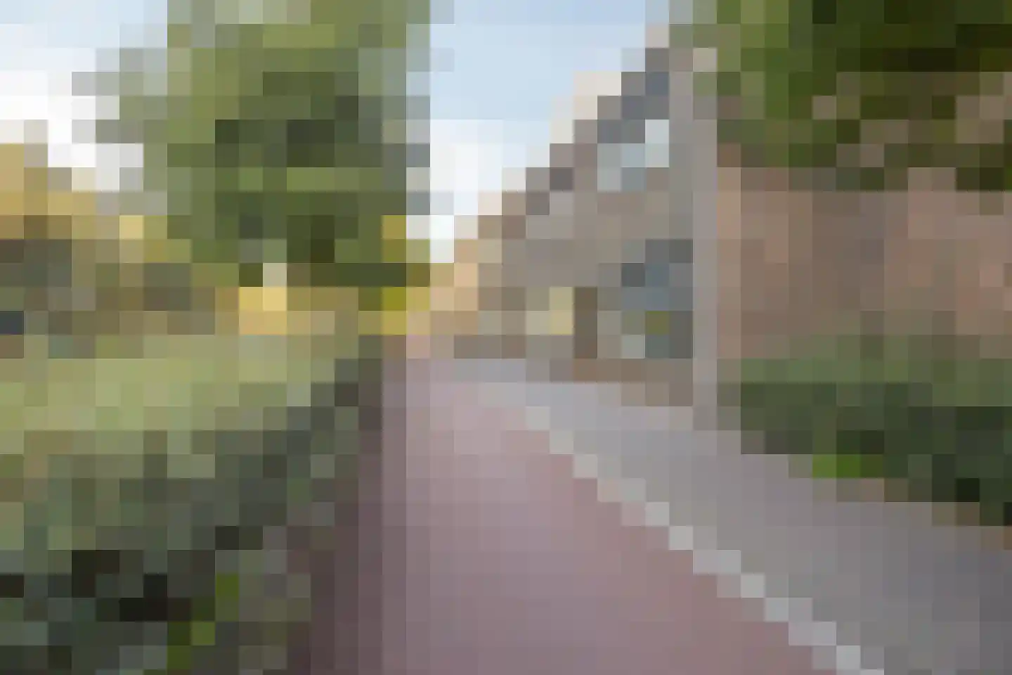 Hart van Brabantlaan 119 a Tilburg thumbnail 19