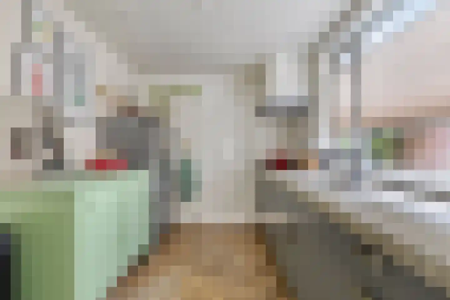 Hart van Brabantlaan 121 Tilburg thumbnail 11