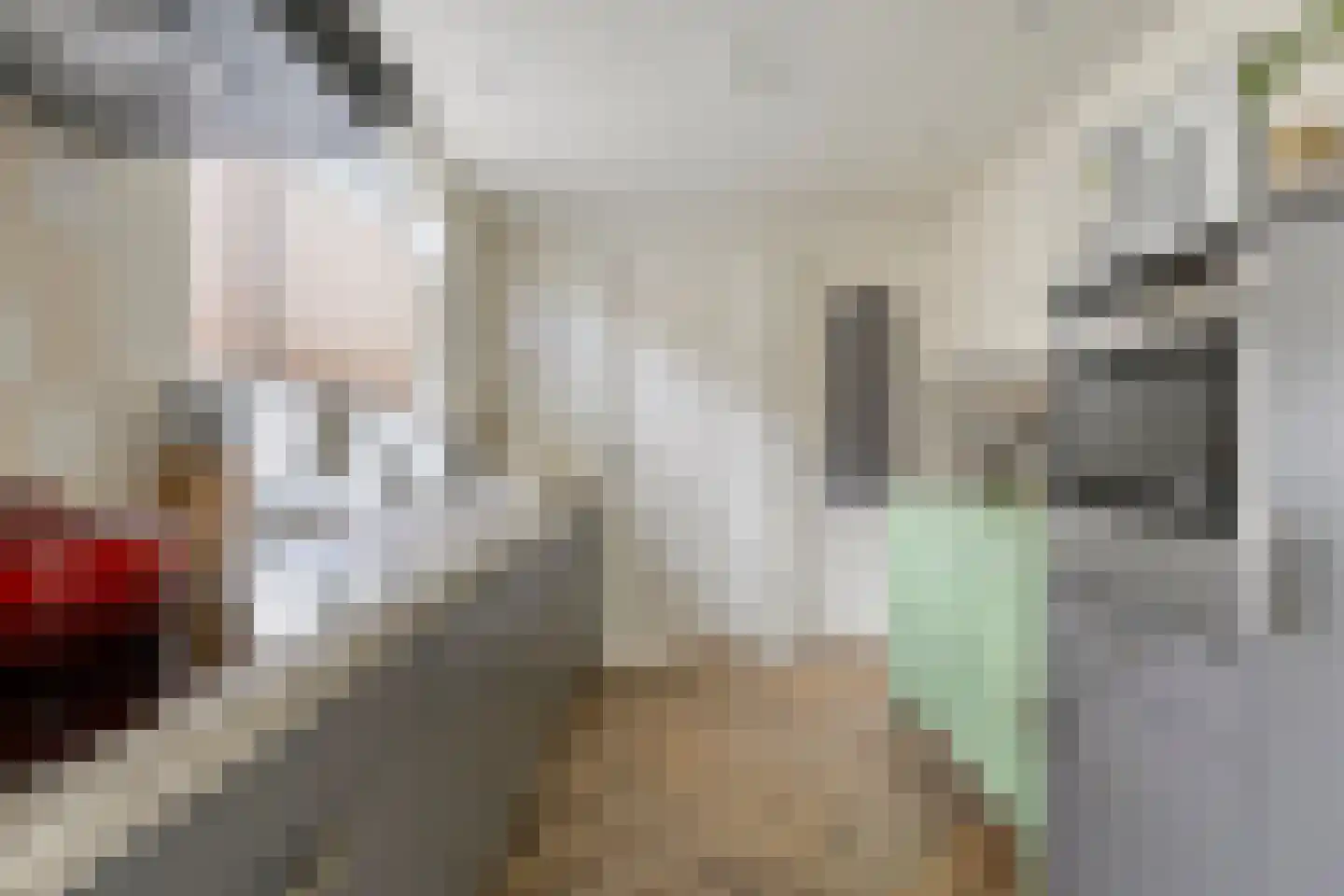 Hart van Brabantlaan 121 Tilburg thumbnail 13