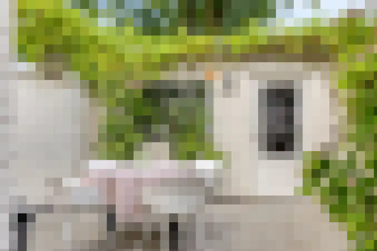 Hart van Brabantlaan 121 Tilburg thumbnail 35