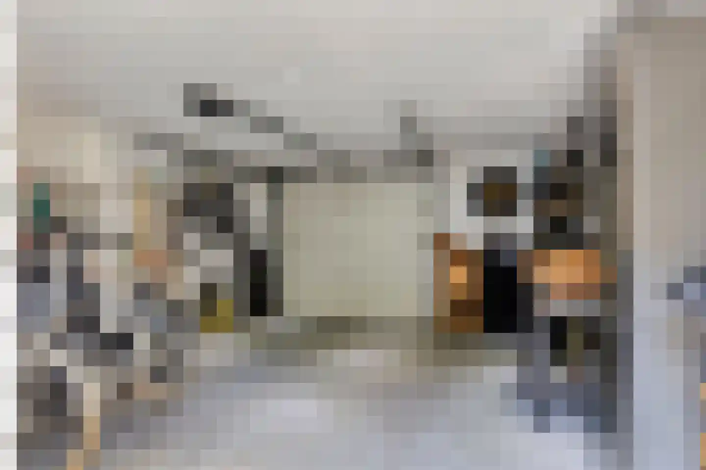 Hart van Brabantlaan 121 Tilburg thumbnail 38