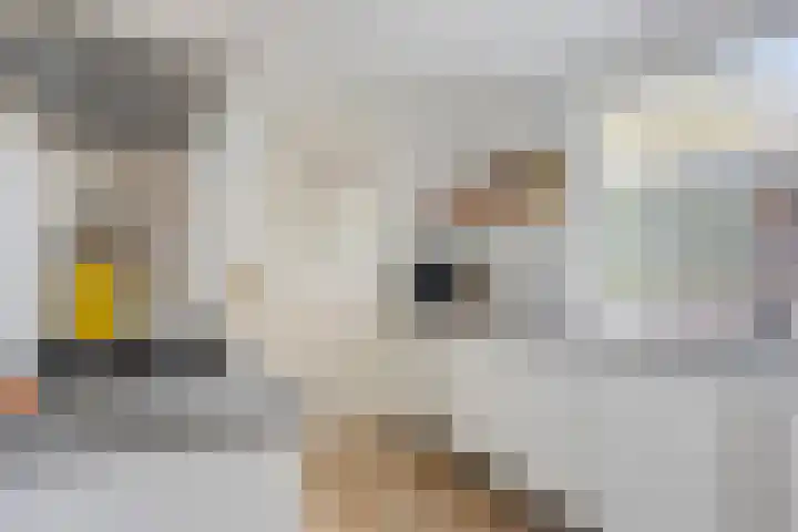 Hart van Brabantlaan 149 Tilburg thumbnail 11