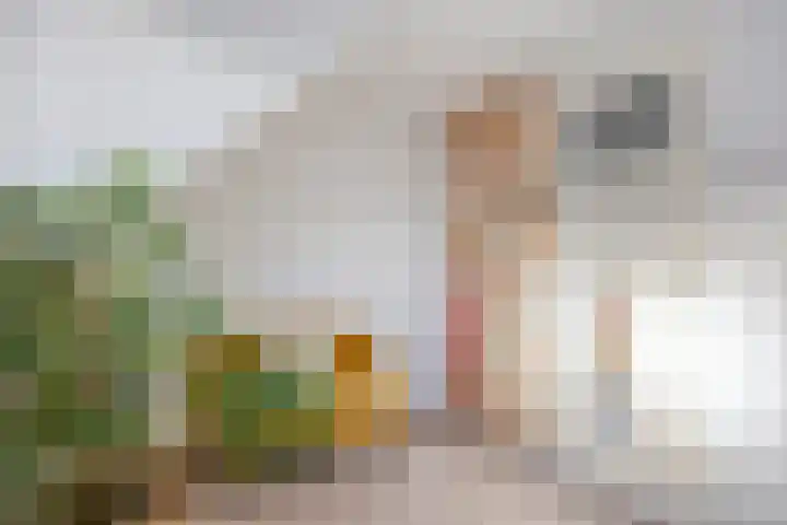 Hart van Brabantlaan 149 Tilburg thumbnail 27
