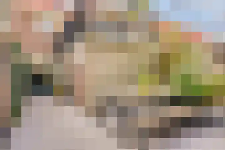 Hart van Brabantlaan 149 Tilburg thumbnail 32