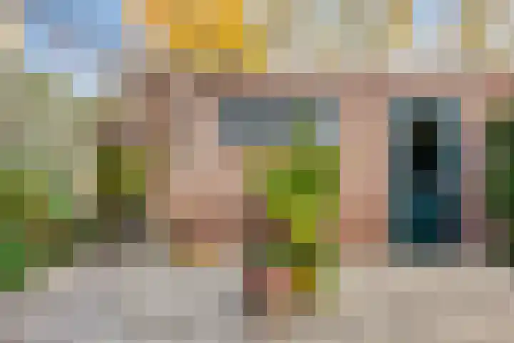Hart van Brabantlaan 149 Tilburg thumbnail 33