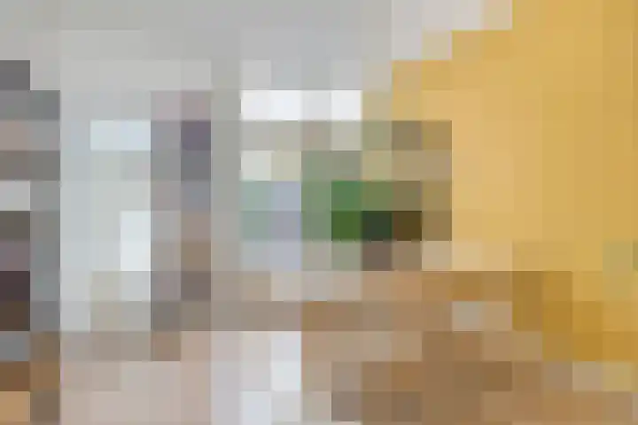 Hart van Brabantlaan 149 Tilburg thumbnail 6