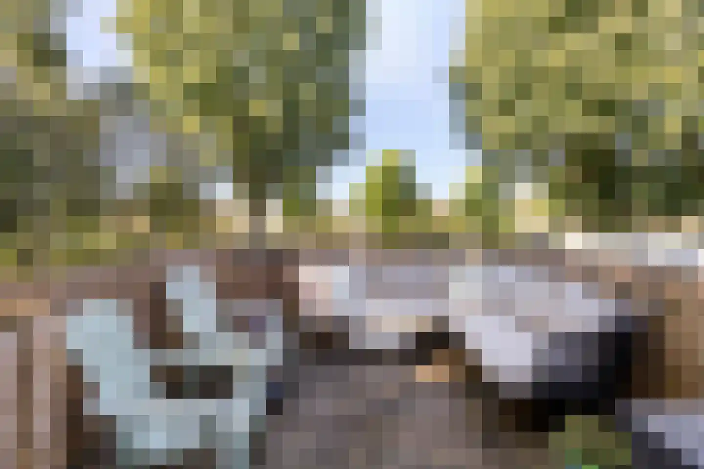 Hart van Brabantlaan 177 Tilburg thumbnail 33