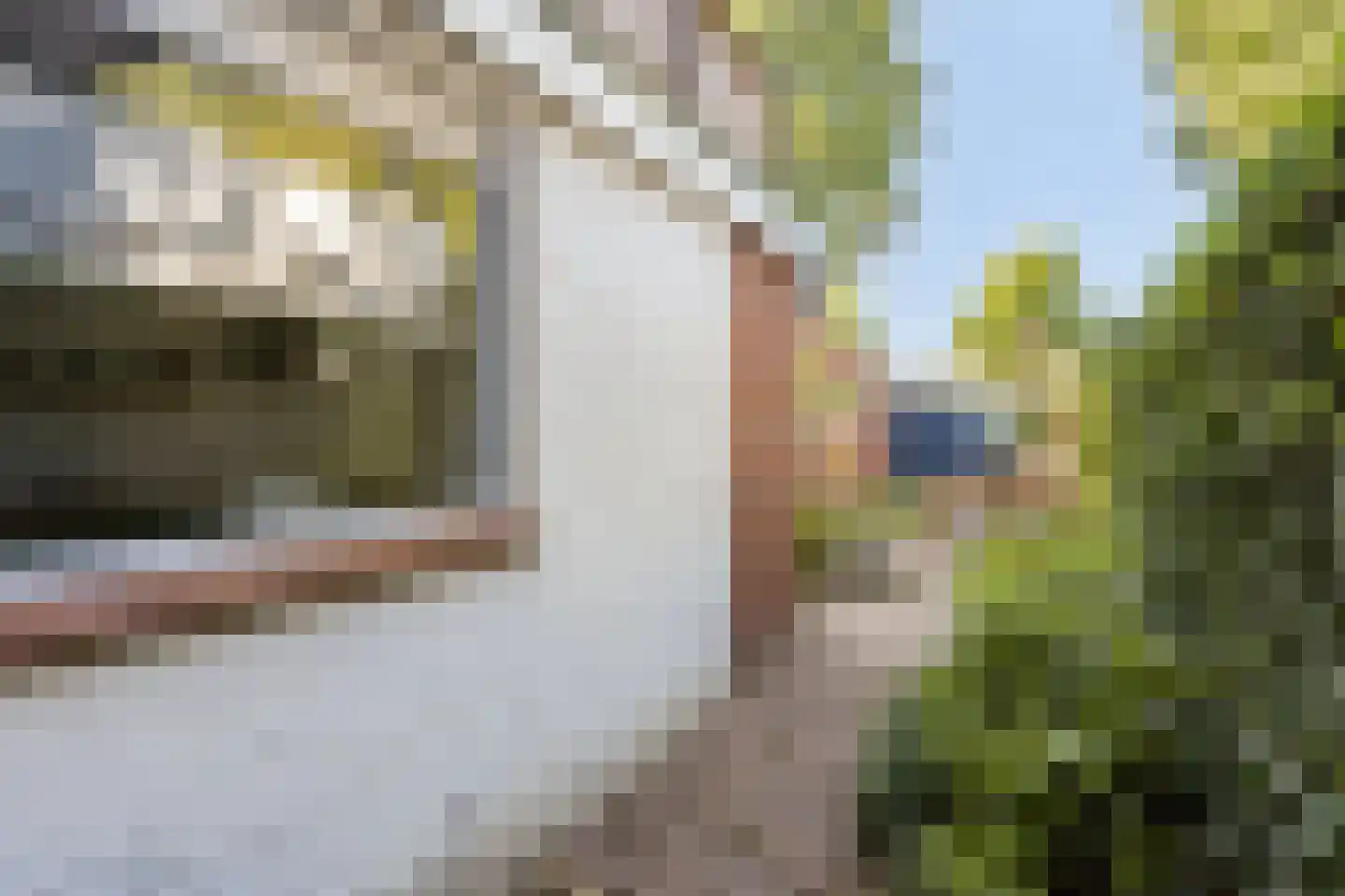 Hart van Brabantlaan 177 Tilburg thumbnail 44