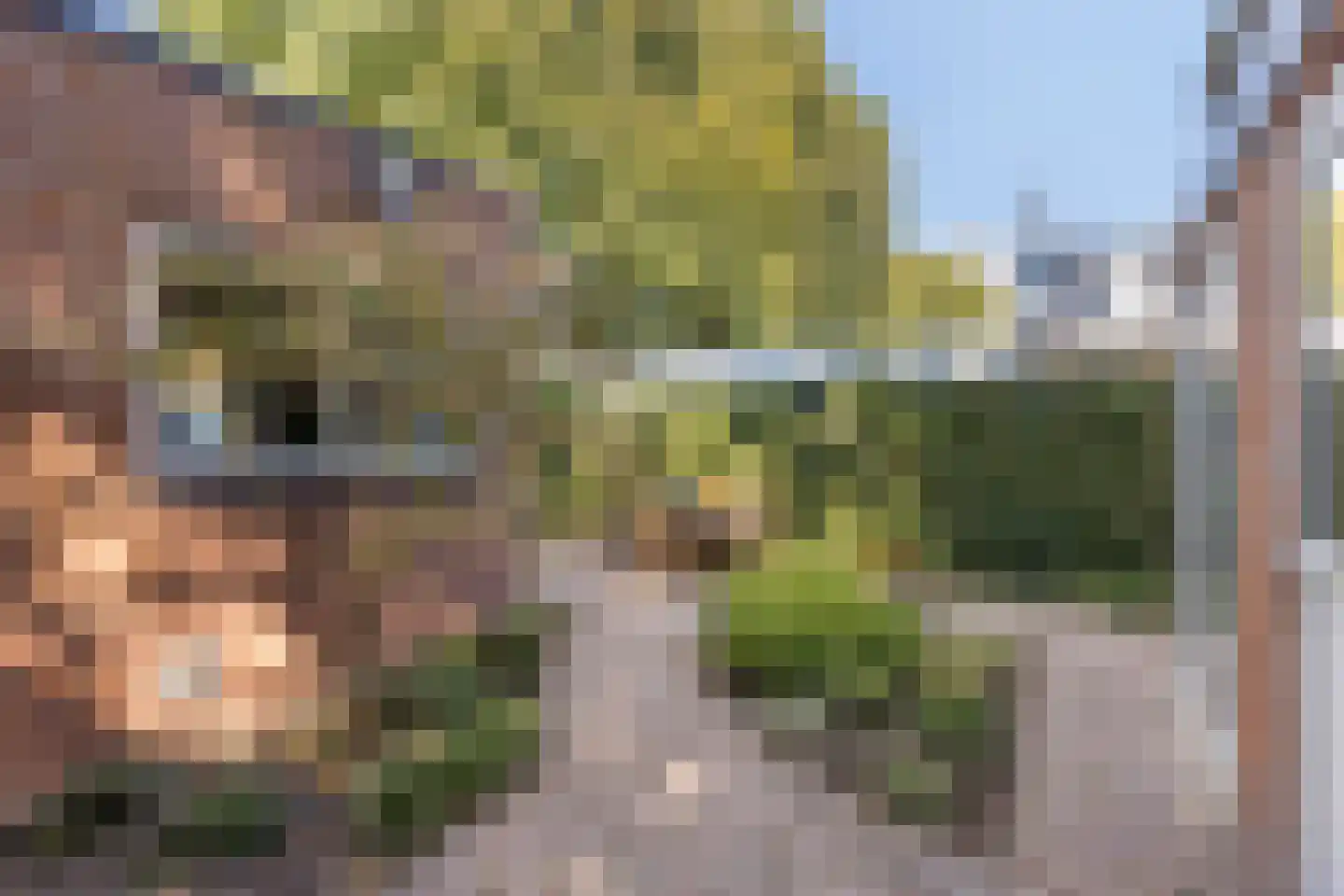 Hart van Brabantlaan 177 Tilburg thumbnail 47