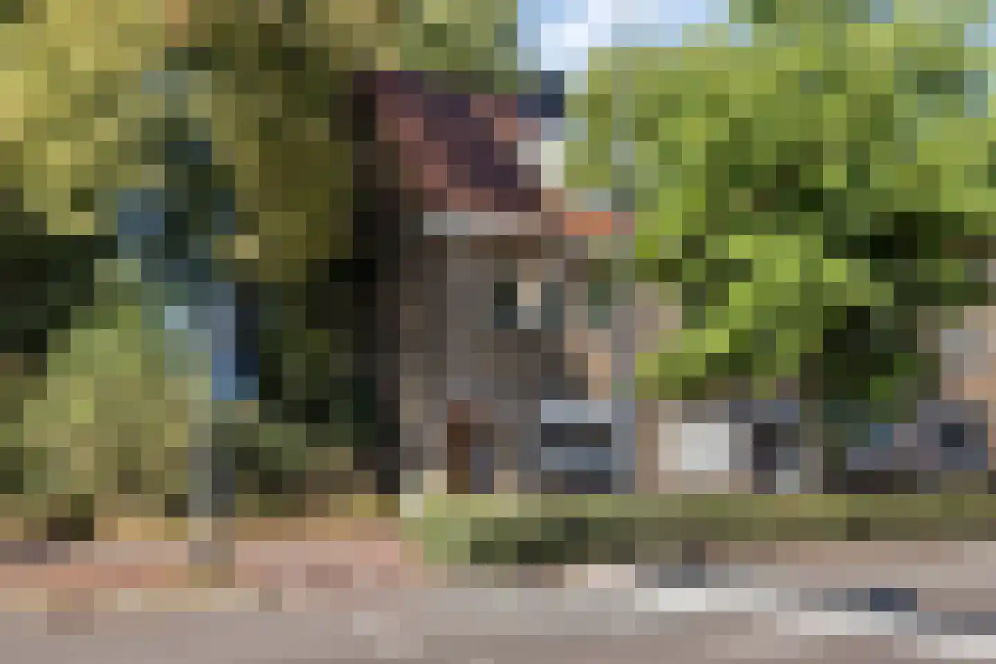 Hart van Brabantlaan 177 Tilburg thumbnail 5
