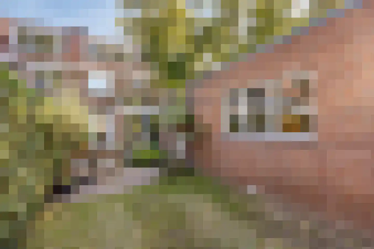 Hart van Brabantlaan 177 Tilburg thumbnail 50