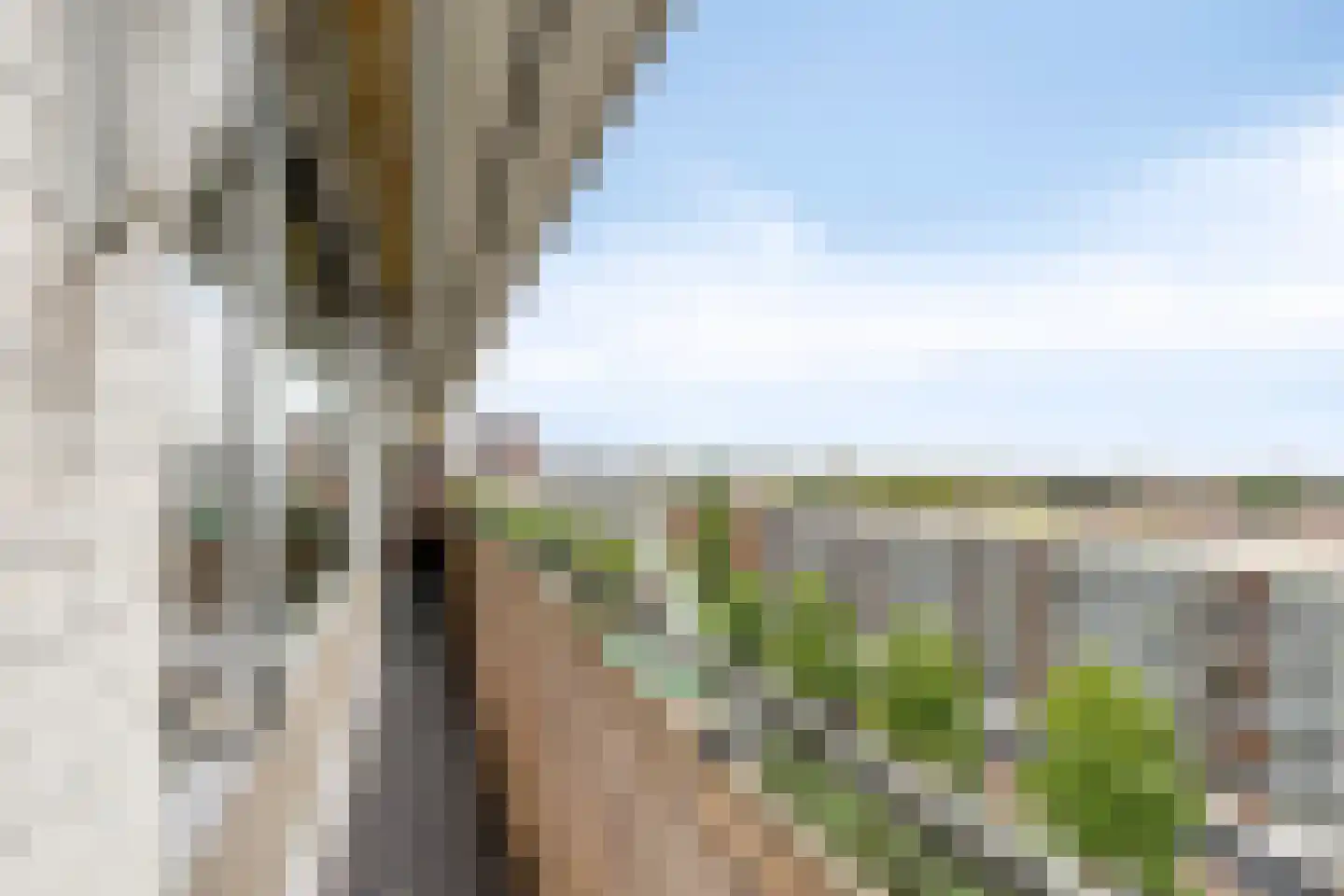 Hart van Brabantlaan 447 Tilburg thumbnail 20