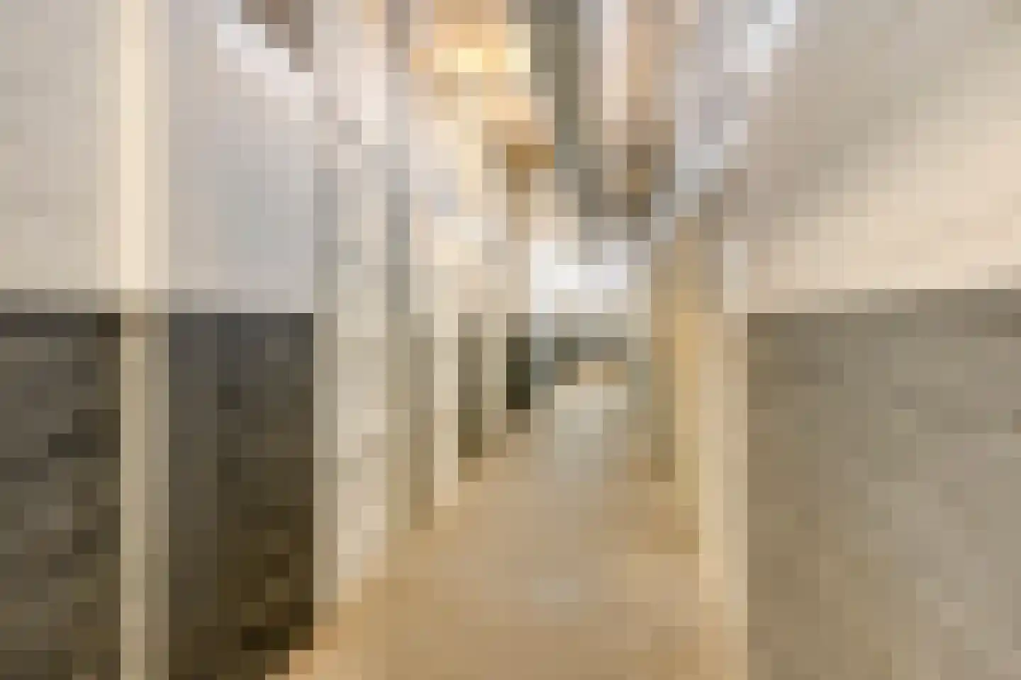 Hart van Brabantlaan 447 Tilburg thumbnail 31