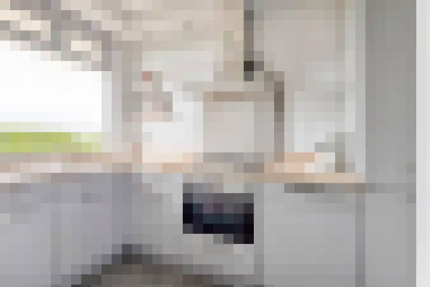 Hart van Brabantlaan 447 Tilburg thumbnail 8