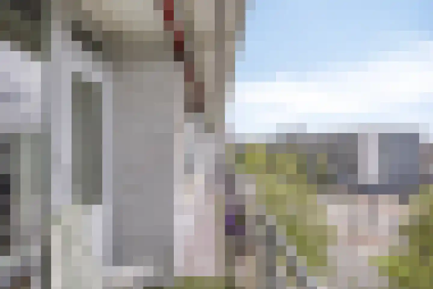 Hart van Brabantlaan 653 Tilburg thumbnail 19