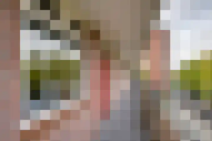 Hart van Brabantlaan 659 Tilburg thumbnail 12