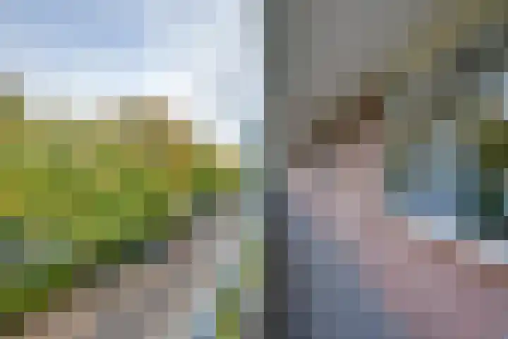 Hart van Brabantlaan 659 Tilburg thumbnail 13
