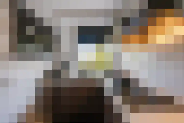 Hart van Brabantlaan 659 Tilburg thumbnail 23