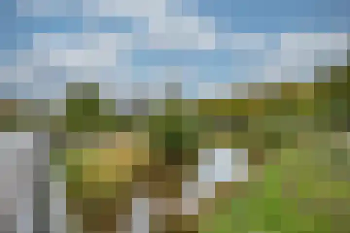 Hart van Brabantlaan 659 Tilburg thumbnail 35
