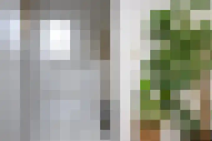 Hartekruidpad 11 Almere thumbnail 36