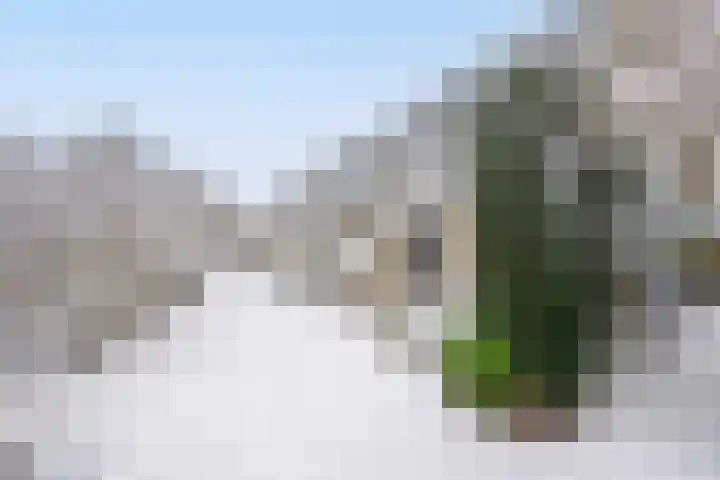 Hartekruidpad 11 Almere thumbnail 5