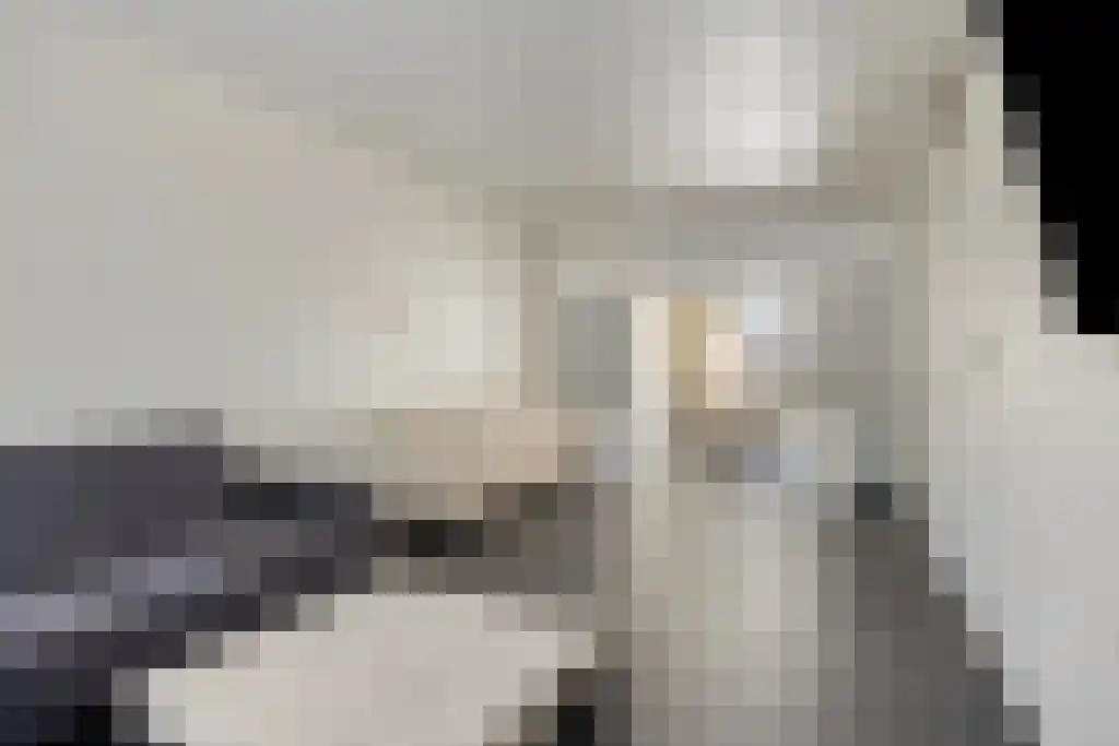 Hartelstein 25 Eindhoven thumbnail 5