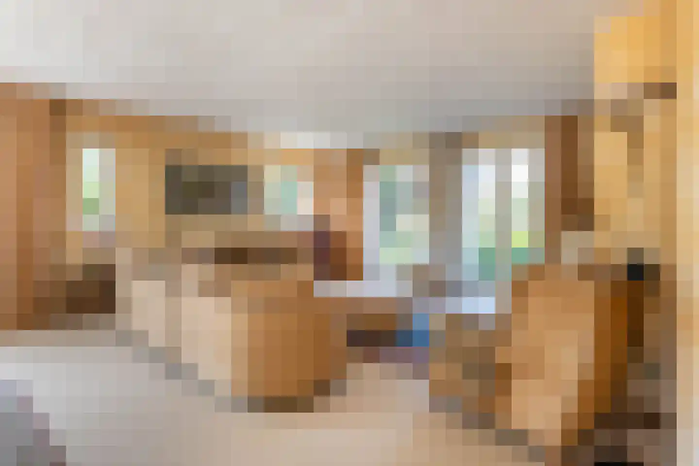 Hartenlustlaan 1 a2 Bloemendaal thumbnail 12