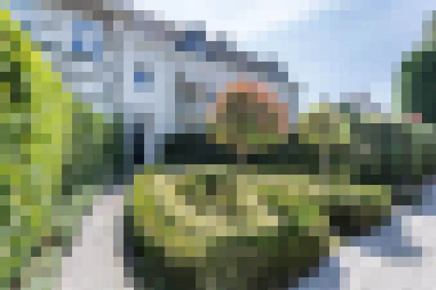 Hartenlustlaan 1 a2 Bloemendaal foto 2