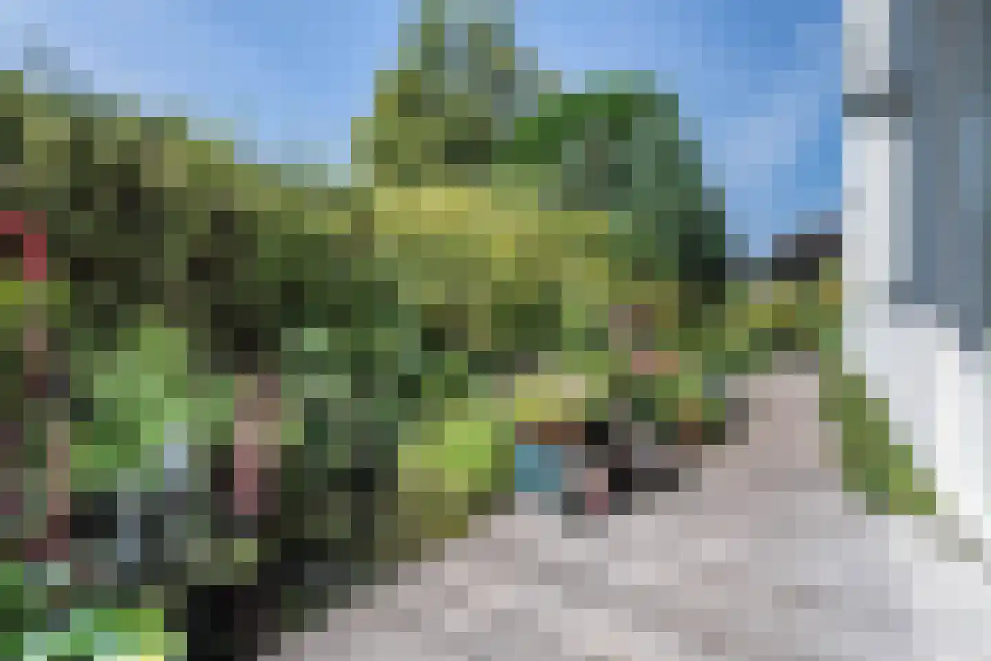 Hartenlustlaan 1 a2 Bloemendaal thumbnail 32