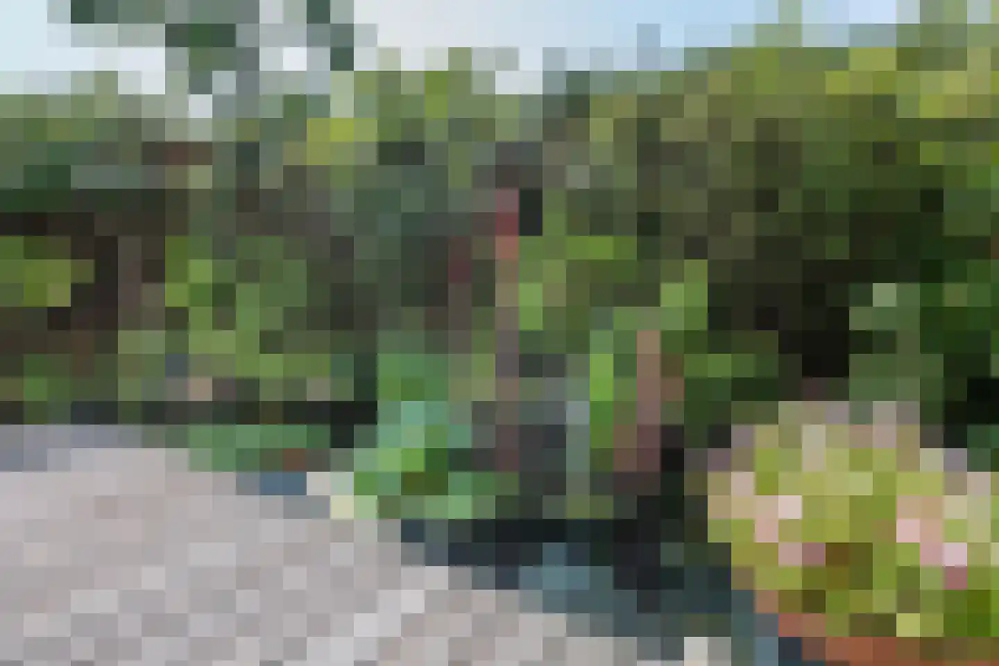 Hartenlustlaan 1 a2 Bloemendaal thumbnail 33
