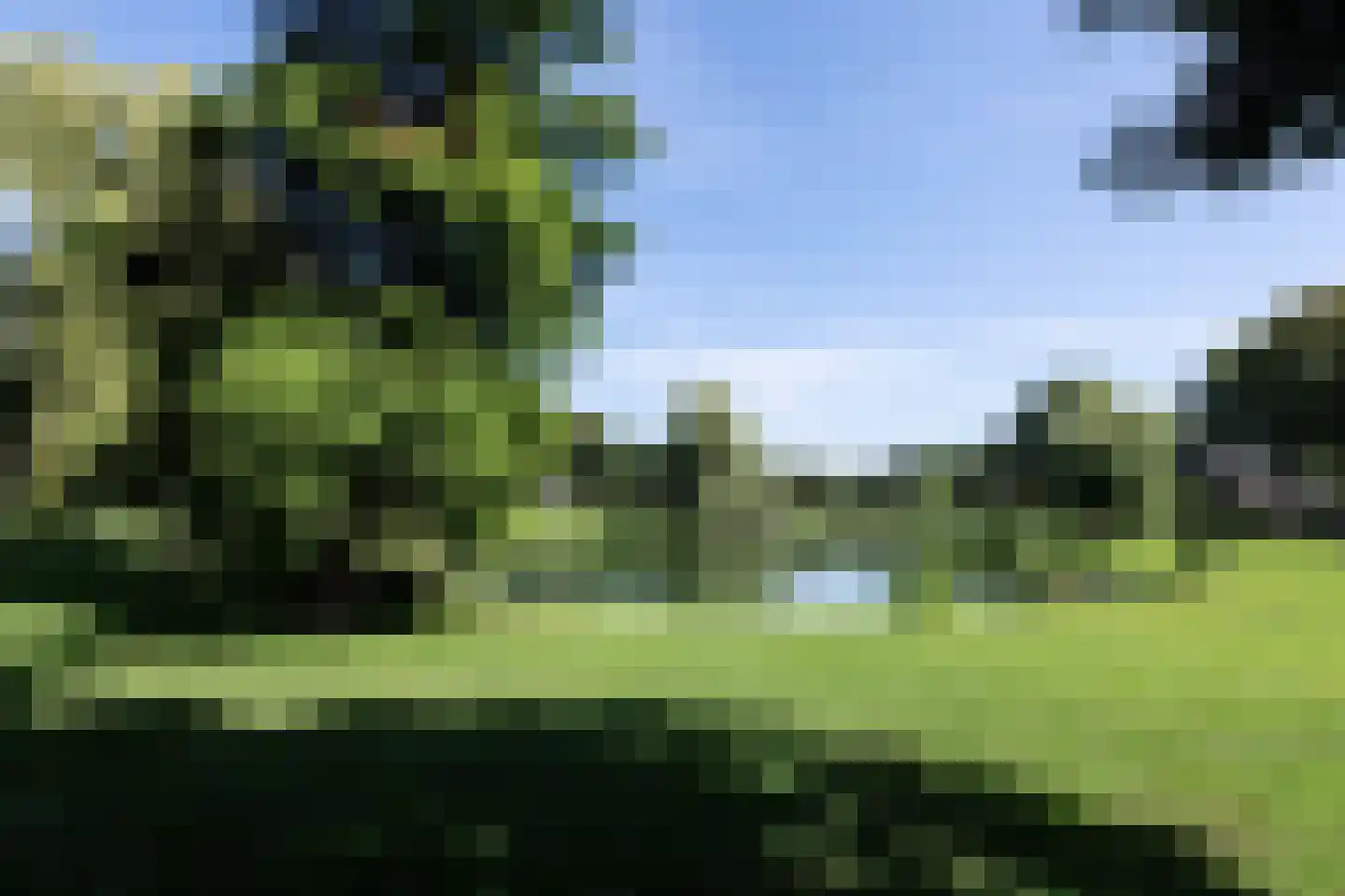 Hartenlustlaan 1 a2 Bloemendaal thumbnail 37