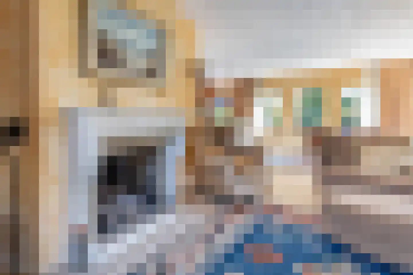 Hartenlustlaan 1 a2 Bloemendaal thumbnail 6