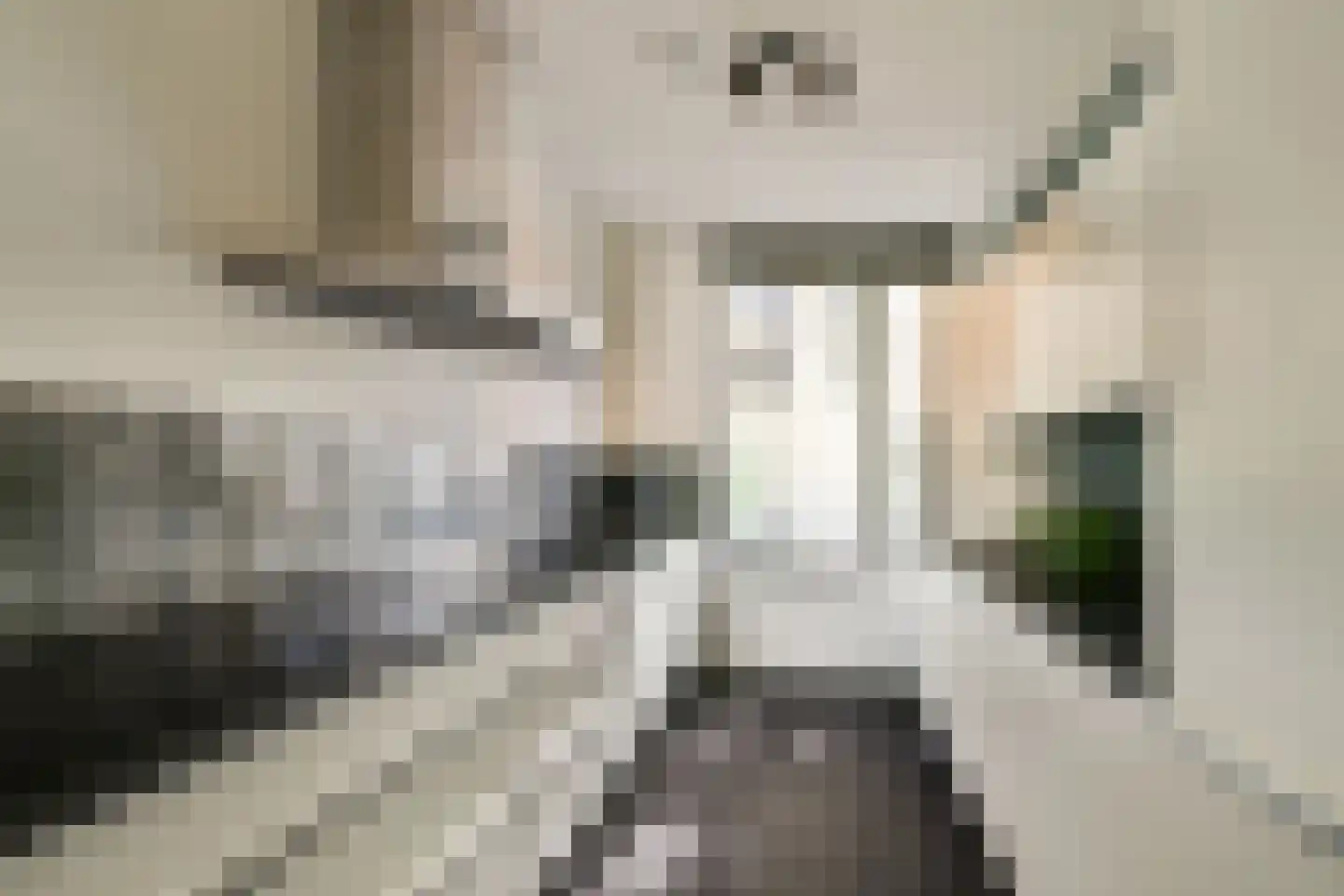 Hartenruststraat 16 Rotterdam thumbnail 12