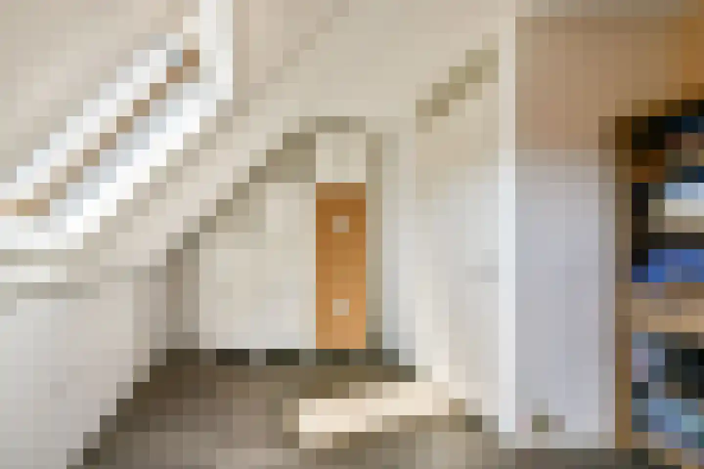 Hartenruststraat 16 Rotterdam thumbnail 25