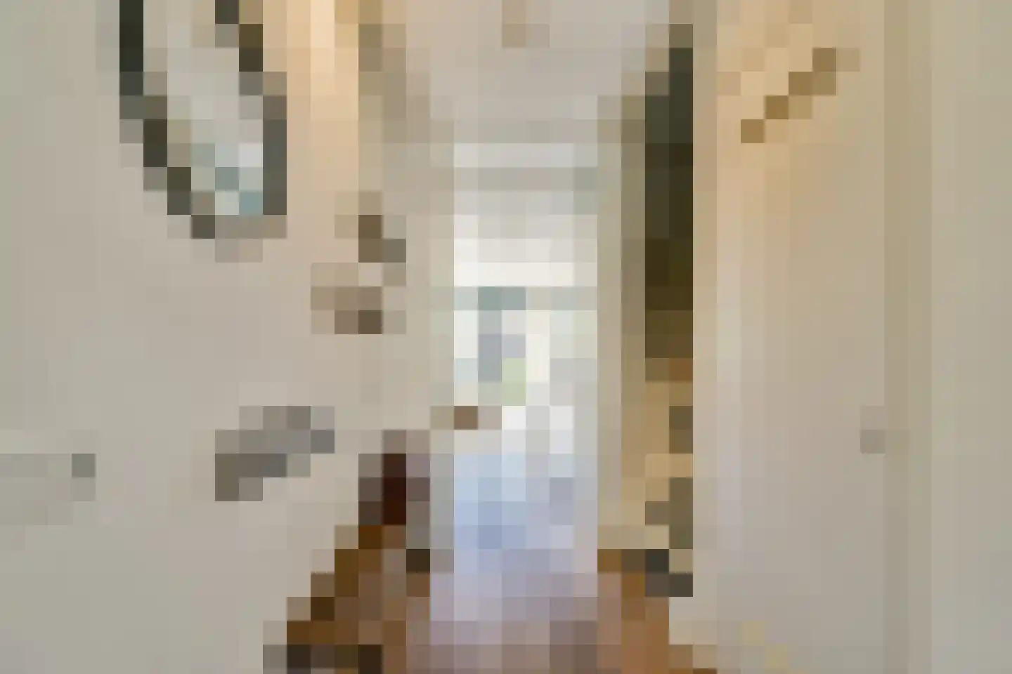 Hartenruststraat 16 Rotterdam thumbnail 5