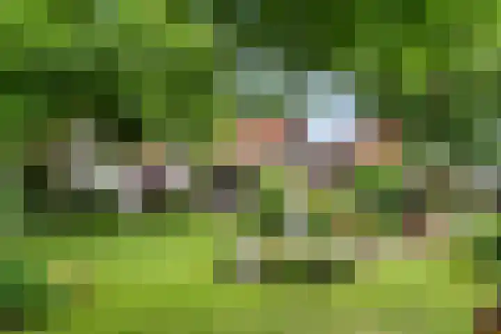 Hartenseweg 12 Renkum thumbnail 10