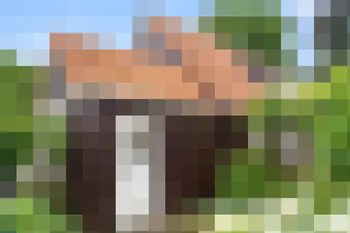 Hartenseweg 12 Renkum thumbnail 13
