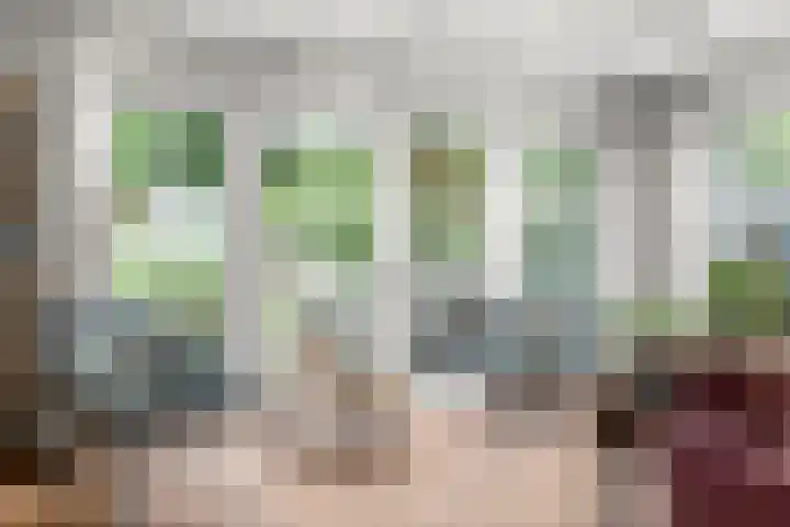 Hartenseweg 12 Renkum thumbnail 21
