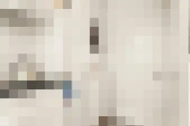 Hartenseweg 12 Renkum thumbnail 30